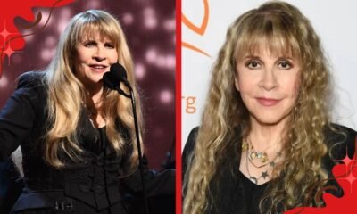 stevie nicks cancels tour