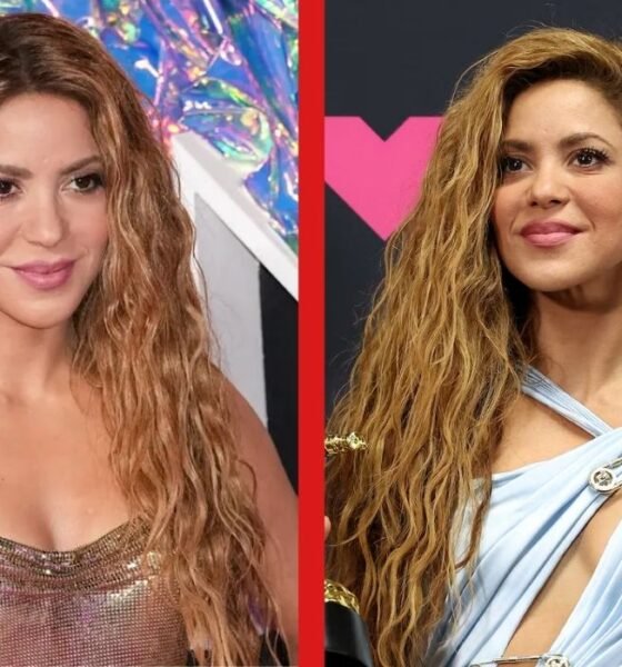 shakira net worth