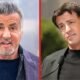 sylvester stallone net worth