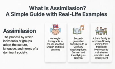 assimilasjon