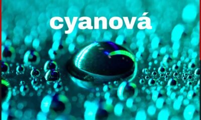 cyanová