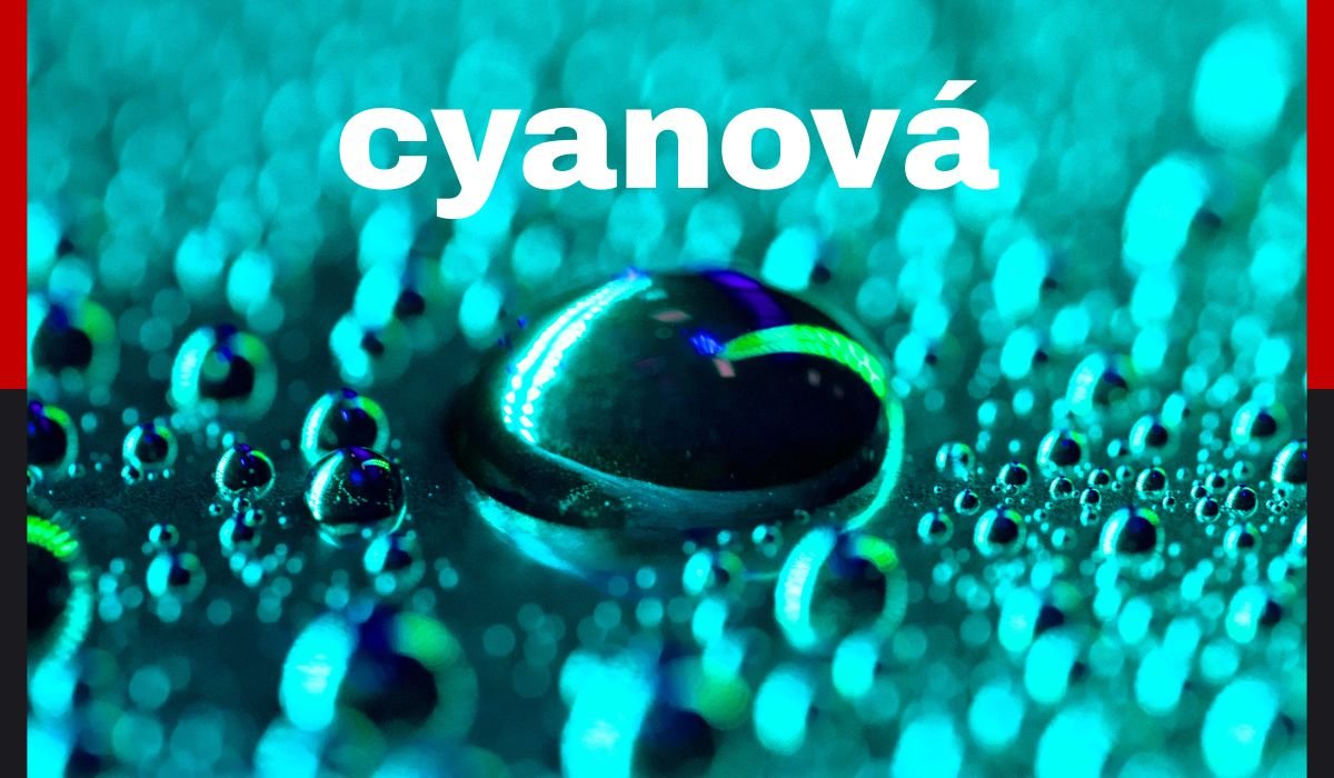 cyanová