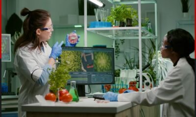 anticimex 3d sanidad ambiental / wisecon estrategia de plataforma