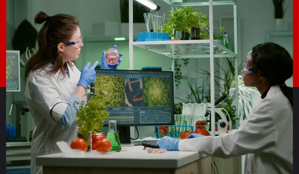 anticimex 3d sanidad ambiental / wisecon estrategia de plataforma