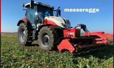 messeregge