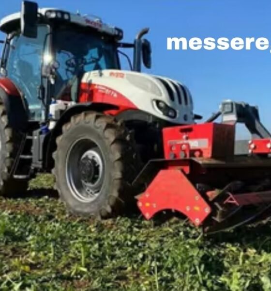 messeregge