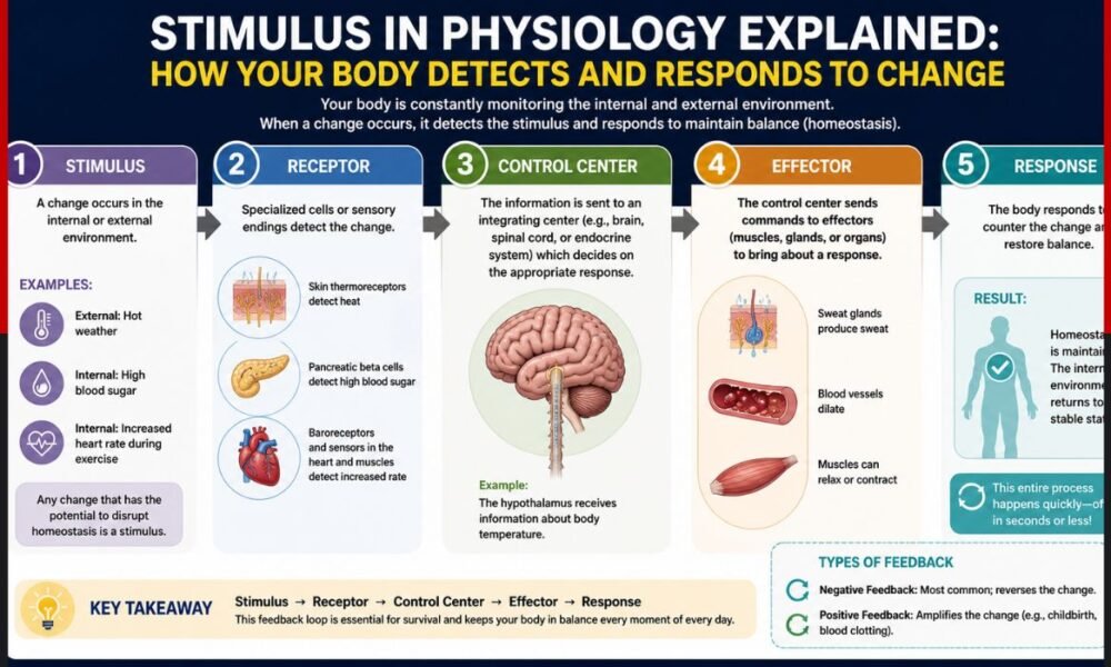 stimulus